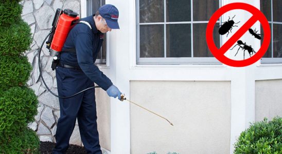 Salıpazarı Kemirgen İlaçlama böcek ilaçlama ve haşere kontrolü — ilaclama-tr.com